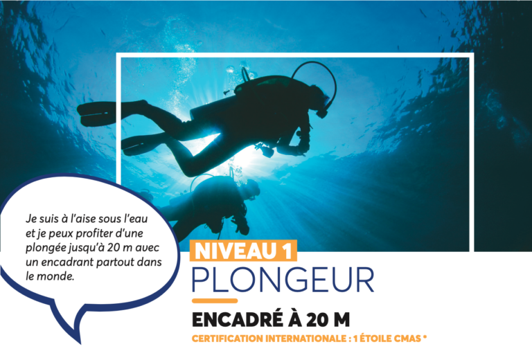 Niveau Plong E Guadeloupe Seacretdive