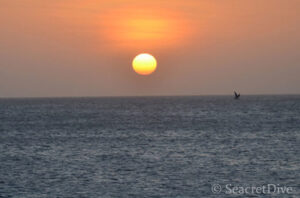coucher-de-soleil-bonaire-seacretdive
