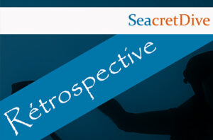 retrospective 2020 seacret dive