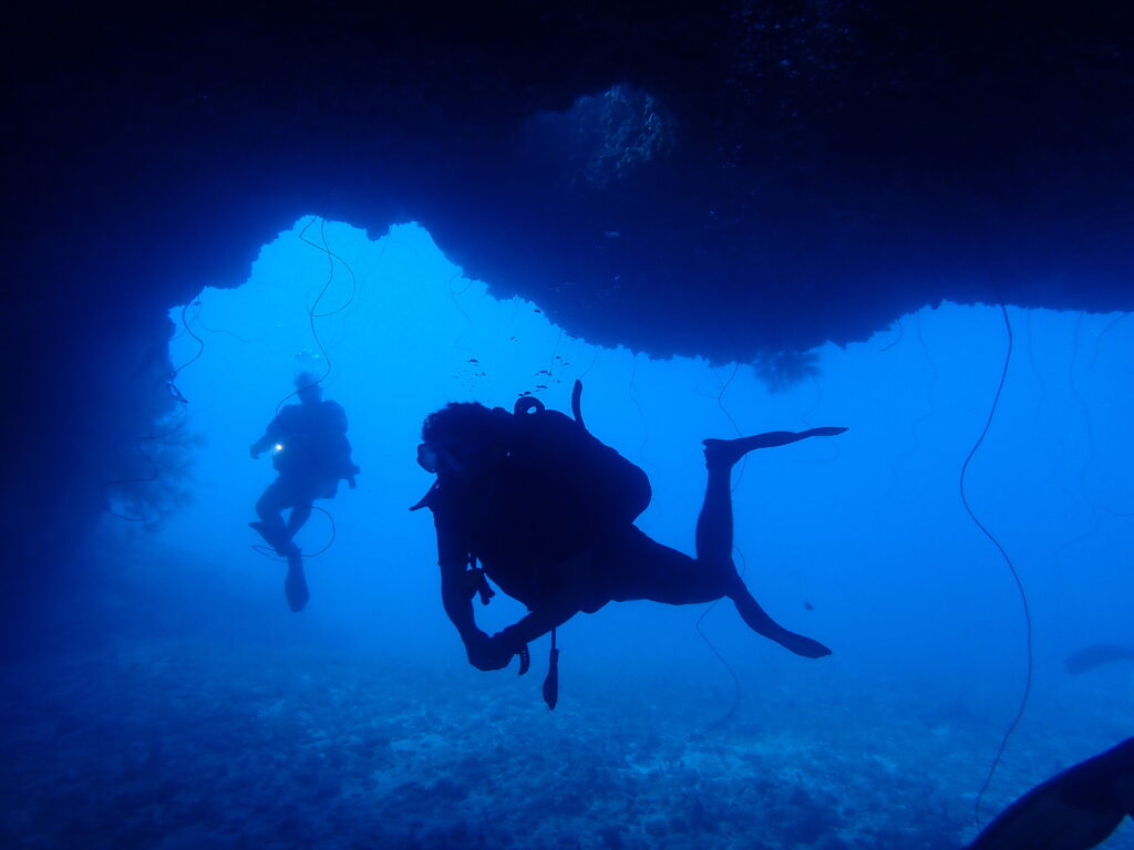 arches seacretdive plongée port-louis seacret dive où plonger en Guadeloupe