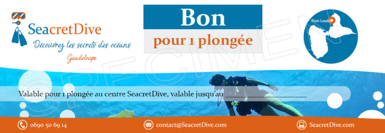 Bon cadeau plongée sous-marine - SeacretDive