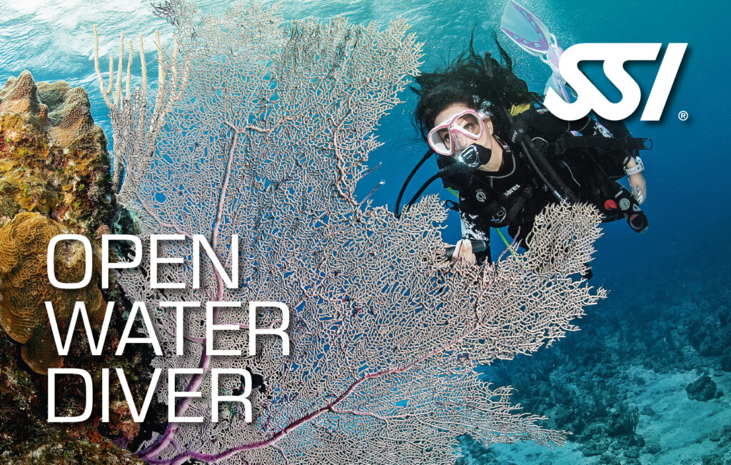 niveau 1 plongée guadeloupe SSI Open Water Diver