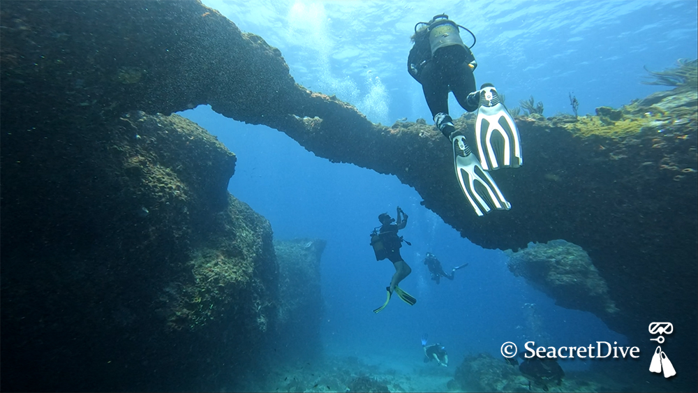 Arche en plongée à la Grande Vigie en Guadeloupe
