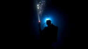 Eclairage en plongée de nuit à Port-Louis Guadeloupe