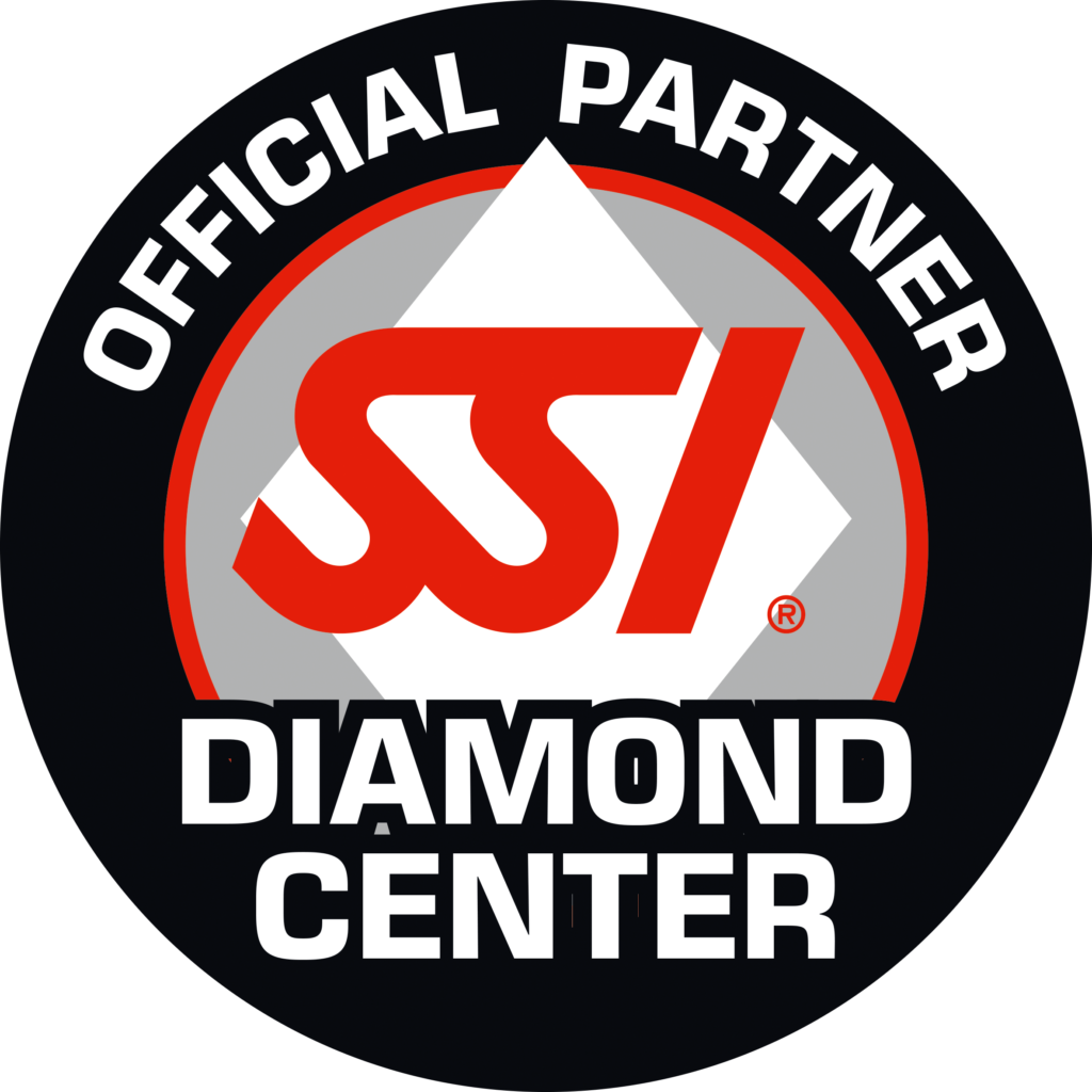 SSI Logo Diamond Center