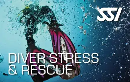 Diver Stress & Rescue secourisme Plongée SSI Guadeloupe
