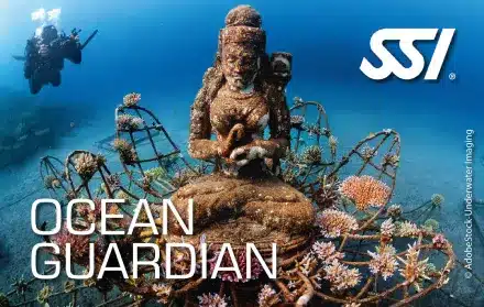 Ocean Guardian Plongée SSI Guadeloupe