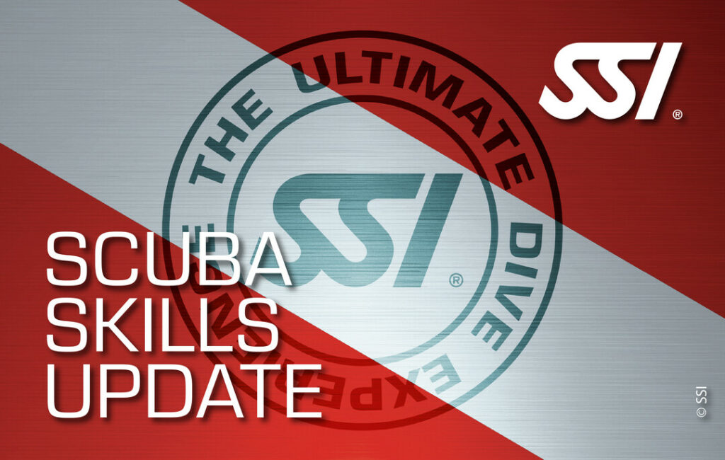 Formation SSI Guadeloupe Scuba Skills update