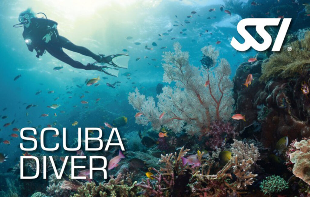 SSI Guadeloupe Scuba Diver