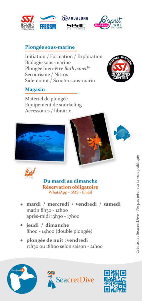 Flyer 2025 verso