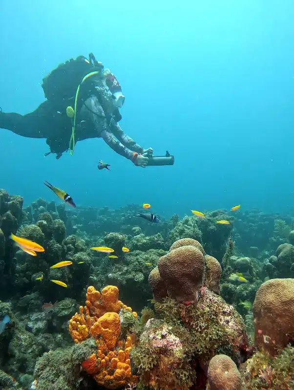 Plongée en scooter sous-marin en Guadeloupe