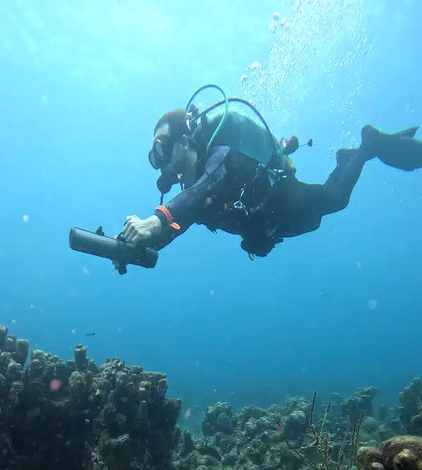 Plongée en scooter sous-marin en Guadeloupe Renaud lefeet