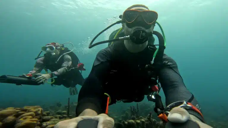 Plongée en scooter sous-marin en Guadeloupe en duo