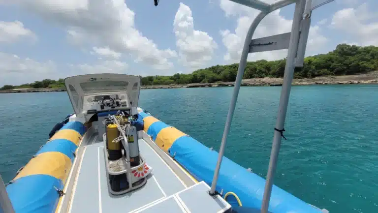 Bateau SeacretDive 08-08-2025