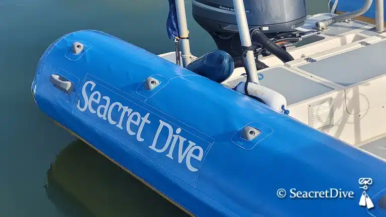 Bateau SeacretDive 1