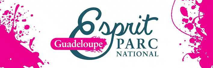 Esprit Parc national Guadeloupe plongée