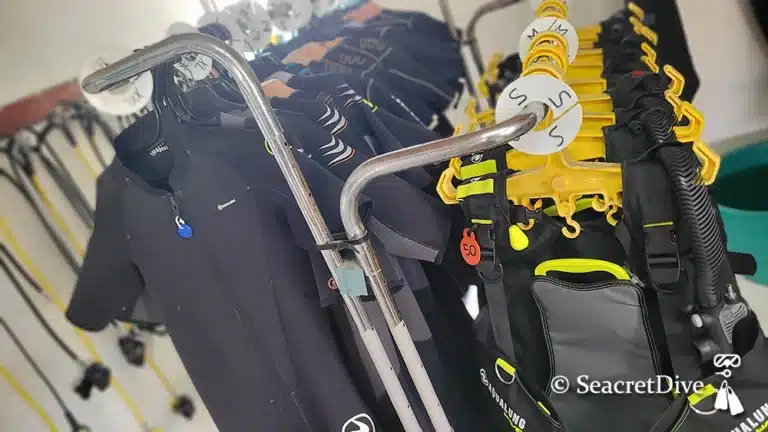 Des gilets et combinaisons en excellent état