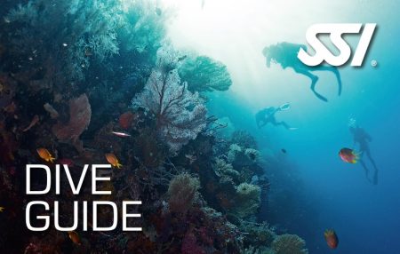 Formation SSI en Guadeloupe Dive Guide