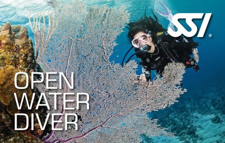 Formation SSI Guadeloupe Open Water Diver